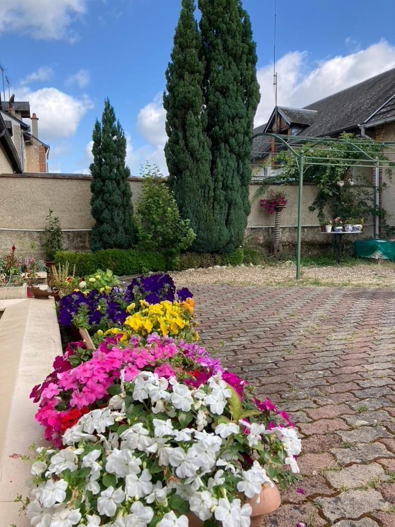 Villa Capucine Aubigny-sur-Nère Dış mekan fotoğraf